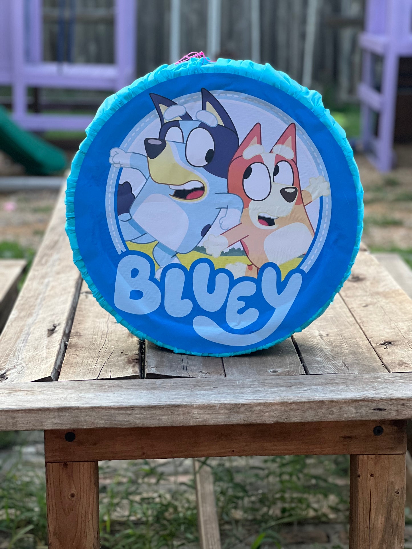 Bluey round piñata